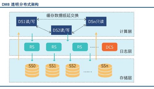 国内外主流数据库系统产品概览及其国内贸易代理生态