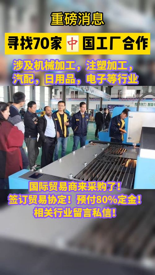 从国内贸易代理到跨境电商 数字化浪潮下的转型与机遇